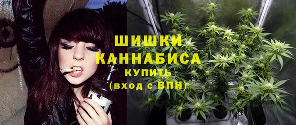 молекула духа Лагань