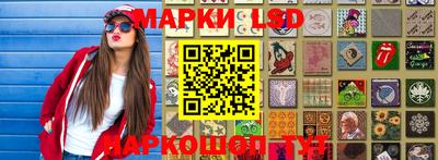 индика Заволжье
