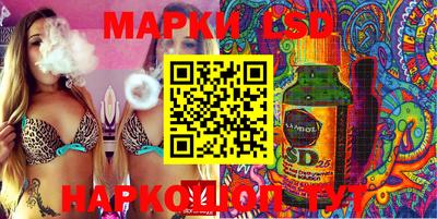 индика Заволжье