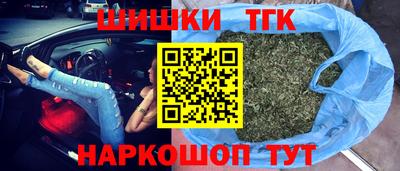 индика Заволжье
