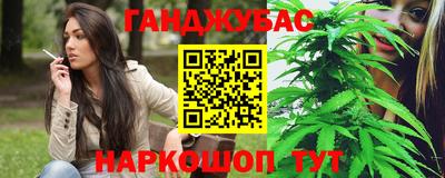 индика Заволжье