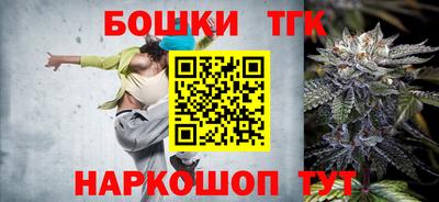 индика Заволжье
