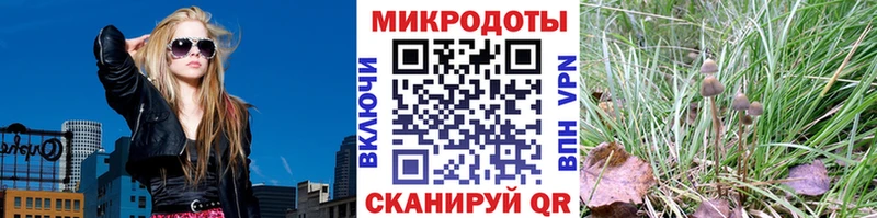 Псилоцибиновые грибы Cubensis  Купить  Чернушка 