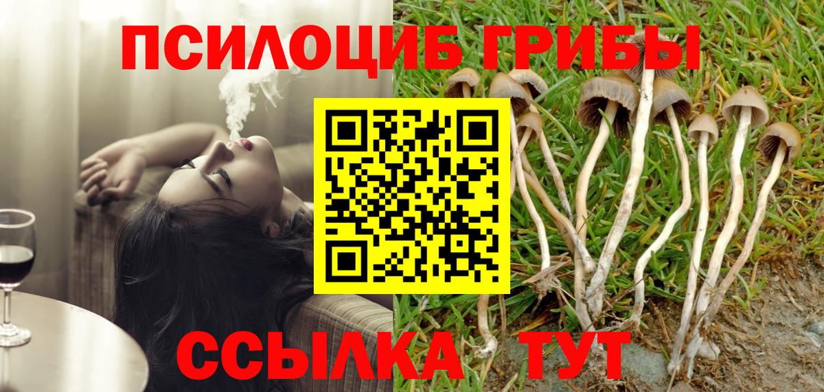 Псилоцибиновые грибы прущие грибы  Псилоцибиновые грибы Psilocybine cubensis  Чернушка 